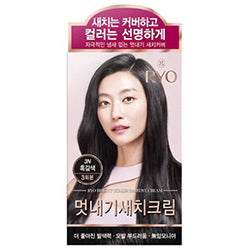RYO Bright Color 3N Hairdye Cream Dark Brown