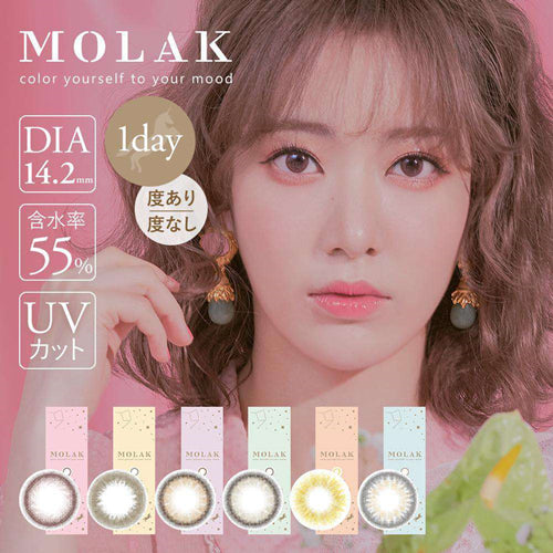 MOLAK PLANO Daily 10pcs