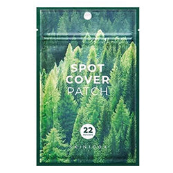 SKIN1004 Tea Trica Spot Cover Patch 22 Patches