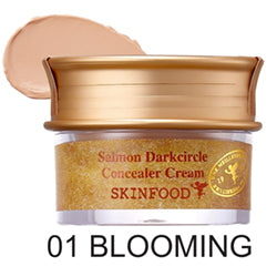 SKINFOOD Salmon Darkcircle Concealer Cream 01 Blooming