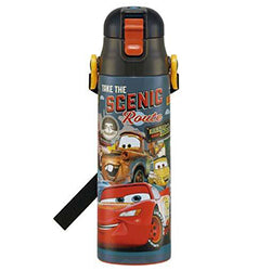 SKATER // Stainless Water Bottle McQueen 580ml